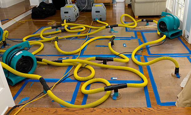 Professional Water Damage Restoration technician working in Moxee, WA